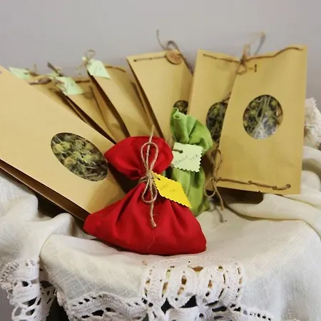 Metro Отель Тирана