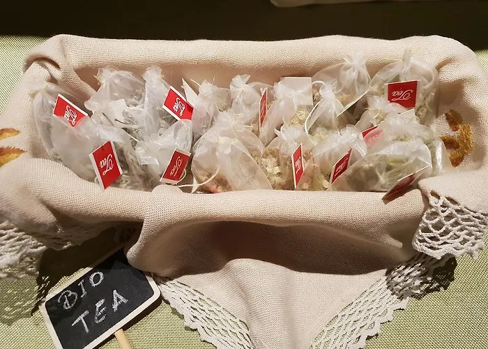 ホテル Metro ティラナ